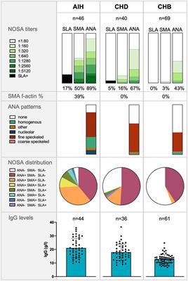 Non-organ-specific autoantibodies with unspecific patterns are a frequent para-infectious feature of chronic hepatitis D